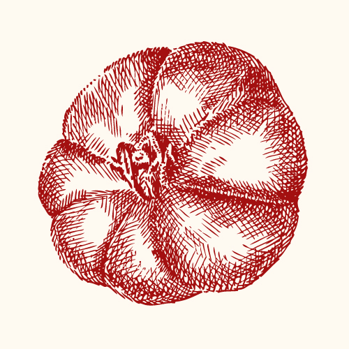 pomodoro rosso